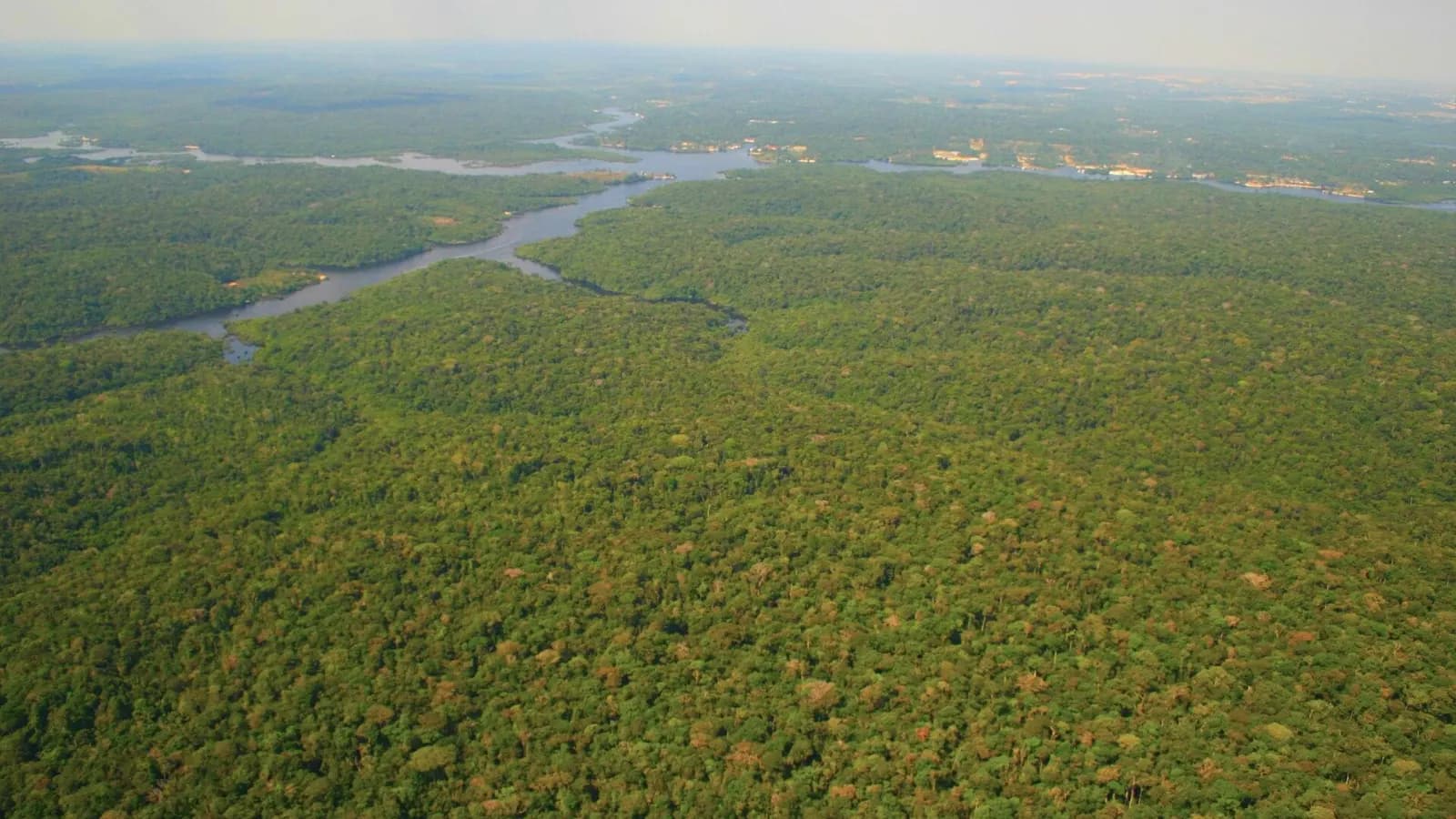 Nível do Rio Negro sobe 12 centímetros em uma semana, aponta boletim simulado