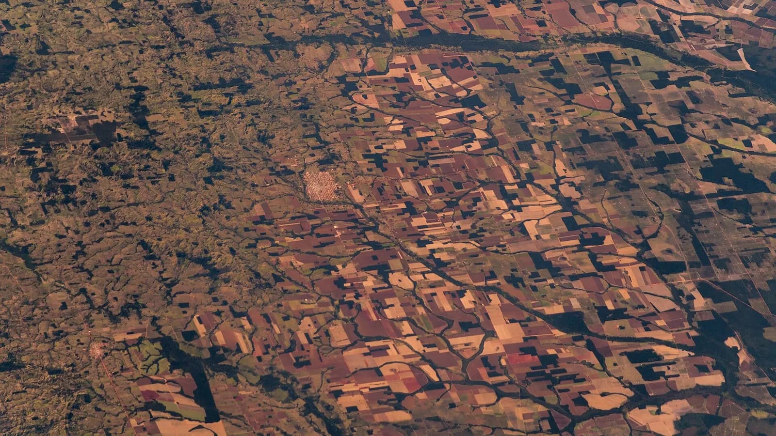 Projeto de reflorestamento planta 50 mil mudas em área degradada